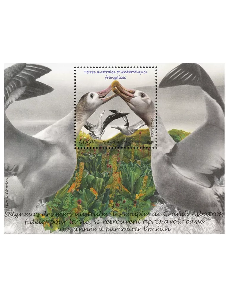 n° F924 - Timbre TAAF Poste