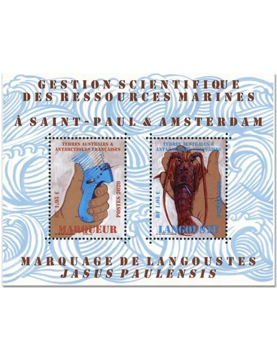 n° F927 - Timbre TAAF Poste