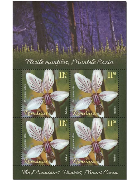 n° F6476/F6481 - Timbre ROUMANIE Poste