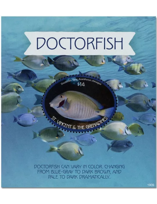 n° 811 - Timbre SAINT-VINCENT Blocs et feuillets