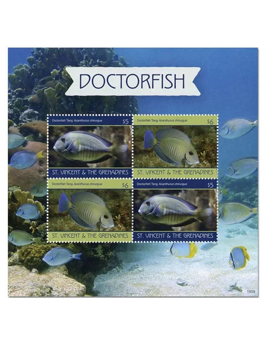 n° 6426/6429 - Timbre SAINT-VINCENT Poste