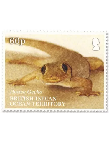 n°554/556 - Timbre OCEAN INDIEN Poste