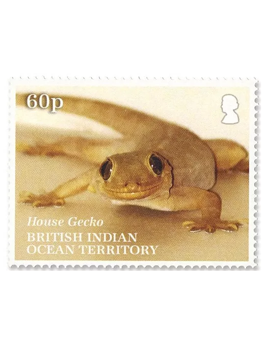 n°554/556 - Timbre OCEAN INDIEN Poste