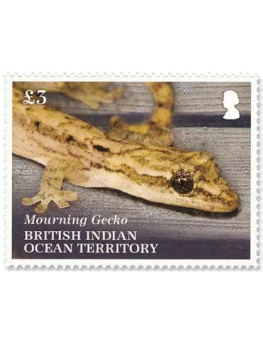 n°554/556 - Timbre OCEAN INDIEN Poste 2