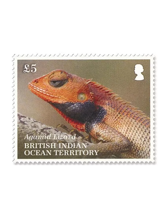 n°554/556 - Timbre OCEAN INDIEN Poste