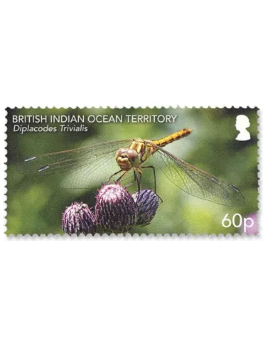 n°557/562 - Timbre OCEAN INDIEN Poste