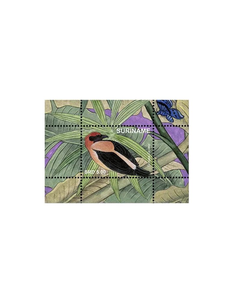 n°152/167 - Timbre SURINAM Blocs et feuillets