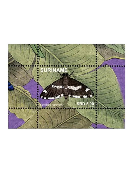 n°152/167 - Timbre SURINAM Blocs et feuillets