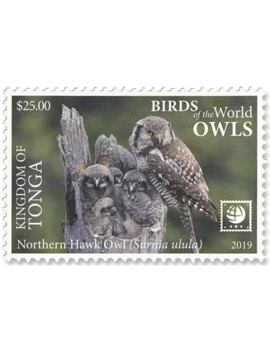 n°1568/1571 - Timbre TONGA Poste