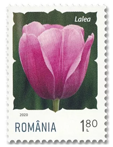 n° 6518/6523 - Timbre ROUMANIE Poste