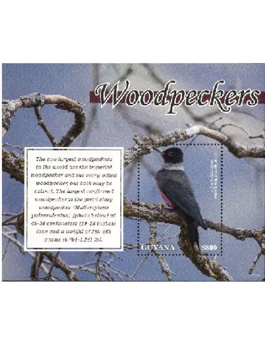 n° 688 - Timbre GUYANA Blocs et feuillets