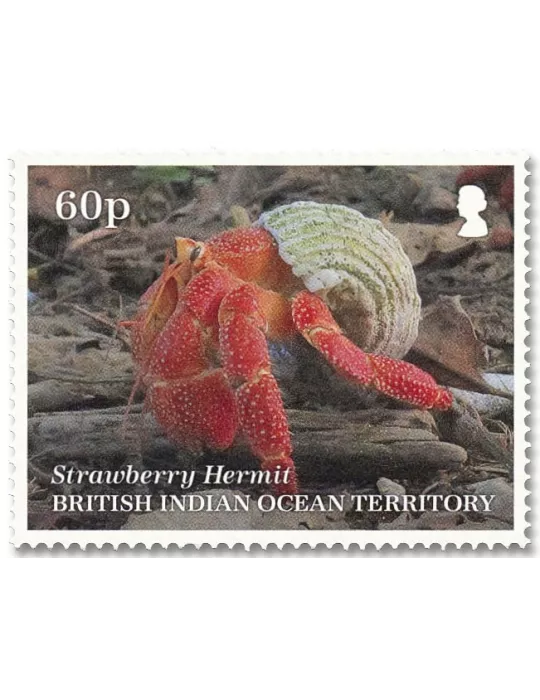 n° 563/567 - Timbre OCEAN INDIEN Poste