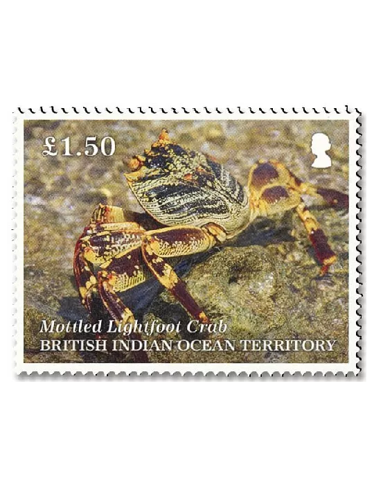 n° 563/567 - Timbre OCEAN INDIEN Poste