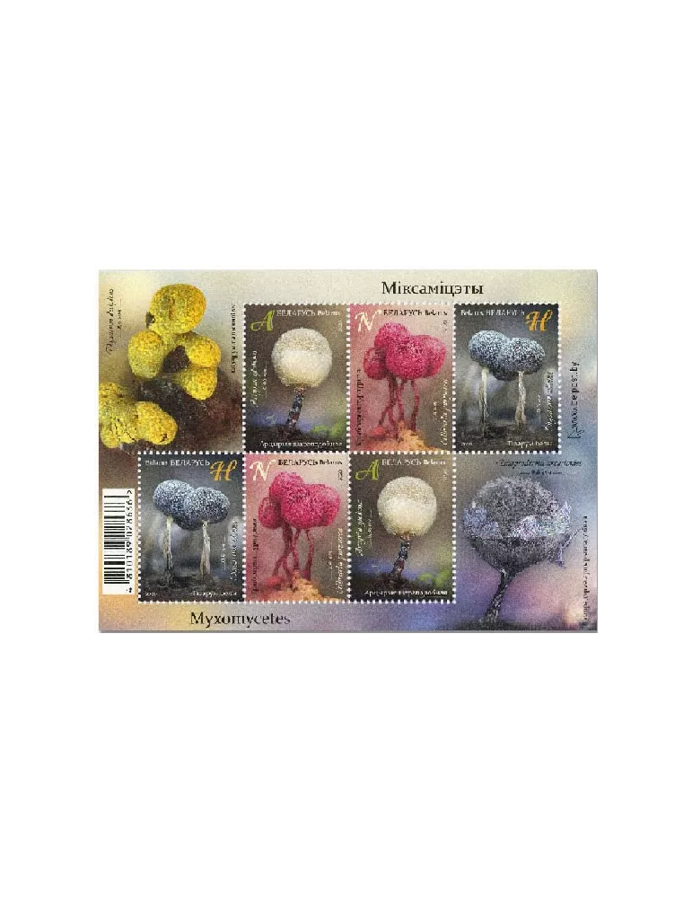 n° 181 - Timbre BIELORUSSIE Blocs et feuillets