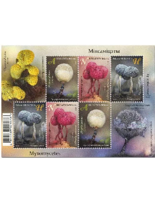 n° 181 - Timbre BIELORUSSIE Blocs et feuillets