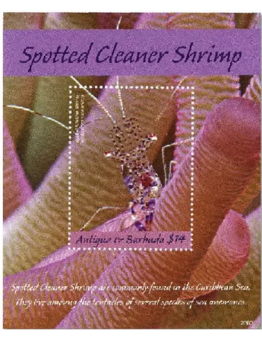 n° 798 - Timbre ANTIGUA Blocs et feuillets