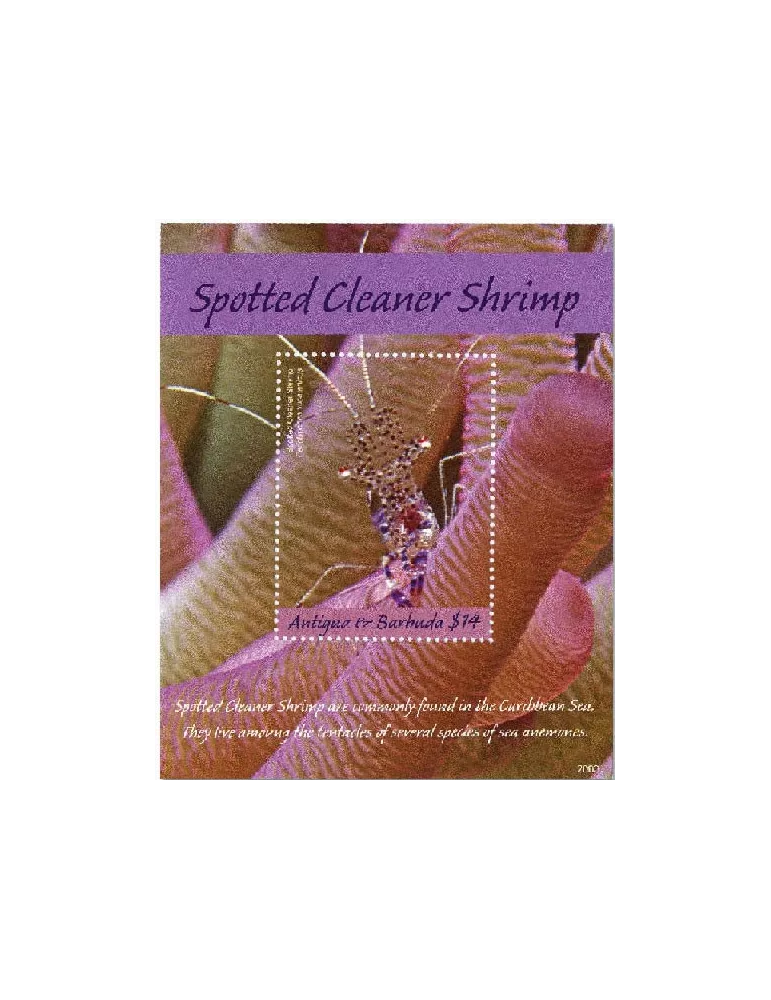 n° 798 - Timbre ANTIGUA Blocs et feuillets