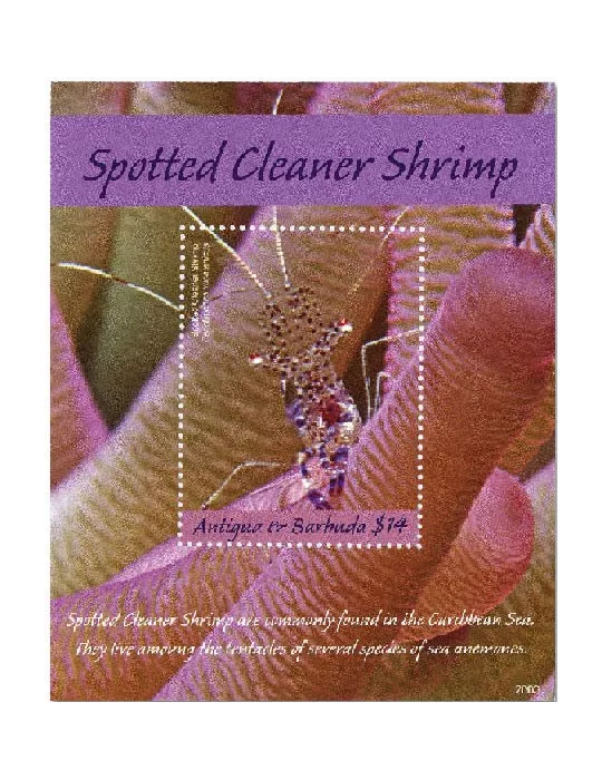 n° 798 - Timbre ANTIGUA Blocs et feuillets