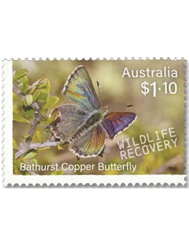n° 4965/4970 - Timbre AUSTRALIE Poste 2