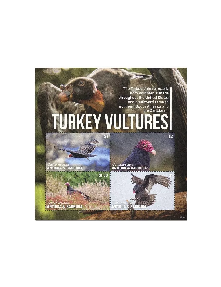 n° 4997/5000 - Timbre ANTIGUA Poste