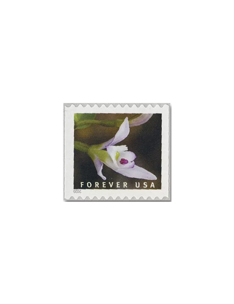 n° 5292a/5301a - Timbre ETATS-UNIS D´AMERIQUE Poste