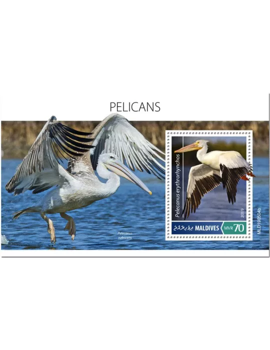 n° 1342 - Timbre MALDIVES Blocs et feuillets