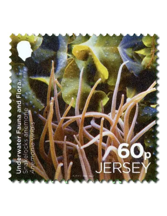 n° 2313/2814 (la paire) + n° 2815 (la série) - Timbre JERSEY Poste