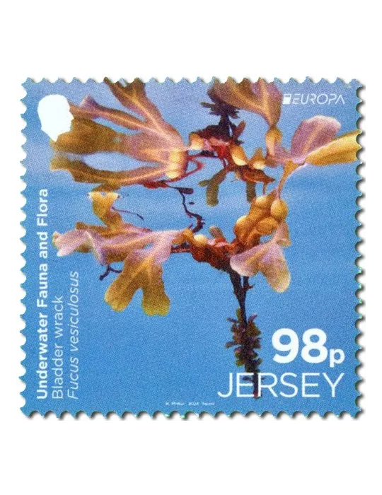 n° 2313/2814 (la paire) + n° 2815 (la série) - Timbre JERSEY Poste