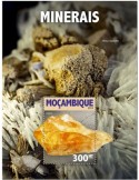 n° 1431 - Timbre MOZAMBIQUE Blocs et feuillets