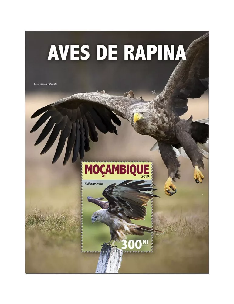 n° 1450 - Timbre MOZAMBIQUE Blocs et feuillets