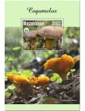 n° 1499 - Timbre MOZAMBIQUE Blocs et feuillets