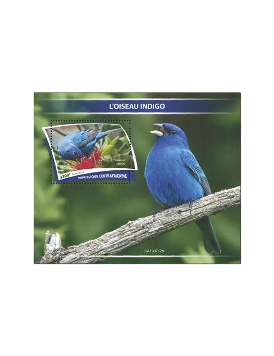 n° 1518 - Timbre CENTRAFRIQUE Blocs et feuillets