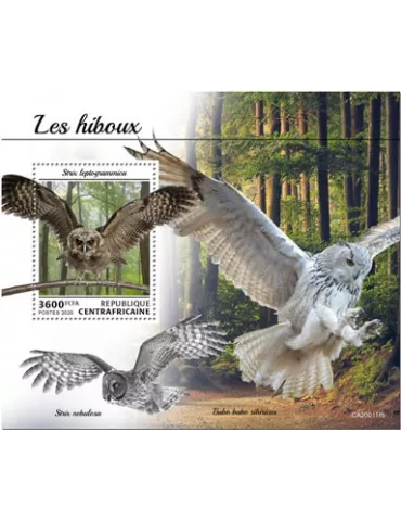 n° 1575 - Timbre CENTRAFRIQUE Blocs et feuillets