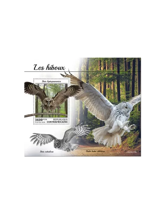 n° 1575 - Timbre CENTRAFRIQUE Blocs et feuillets