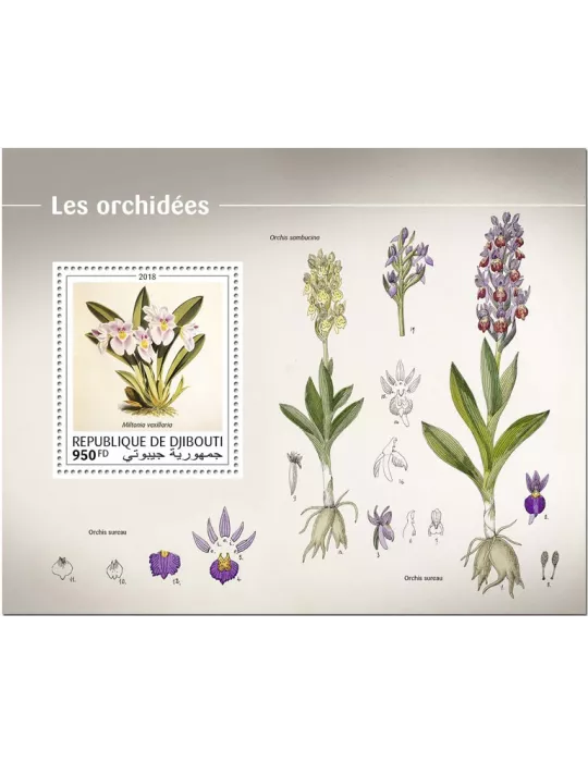 n° 349 - Timbre DJIBOUTI Blocs et feuillets