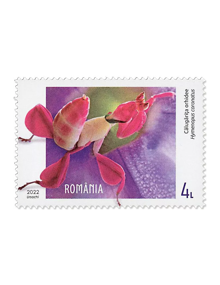 n° 6916/6919 - Timbre ROUMANIE Poste