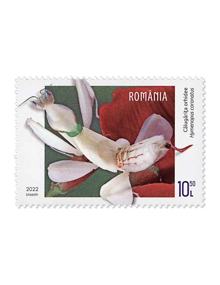 n° 6916/6919 - Timbre ROUMANIE Poste