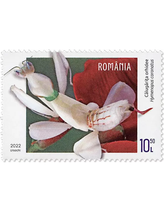 n° 6916/6919 - Timbre ROUMANIE Poste