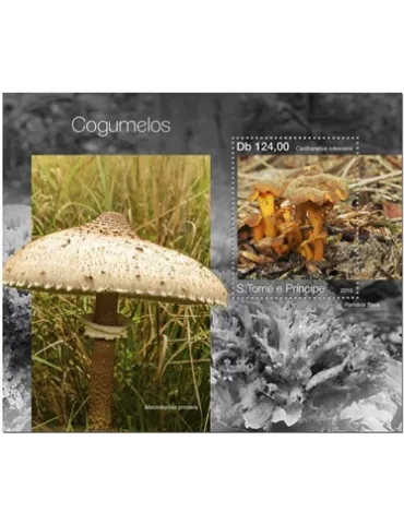 n° 1319 - Timbre SAINT-THOMAS ET PRINCE Blocs et feuillets