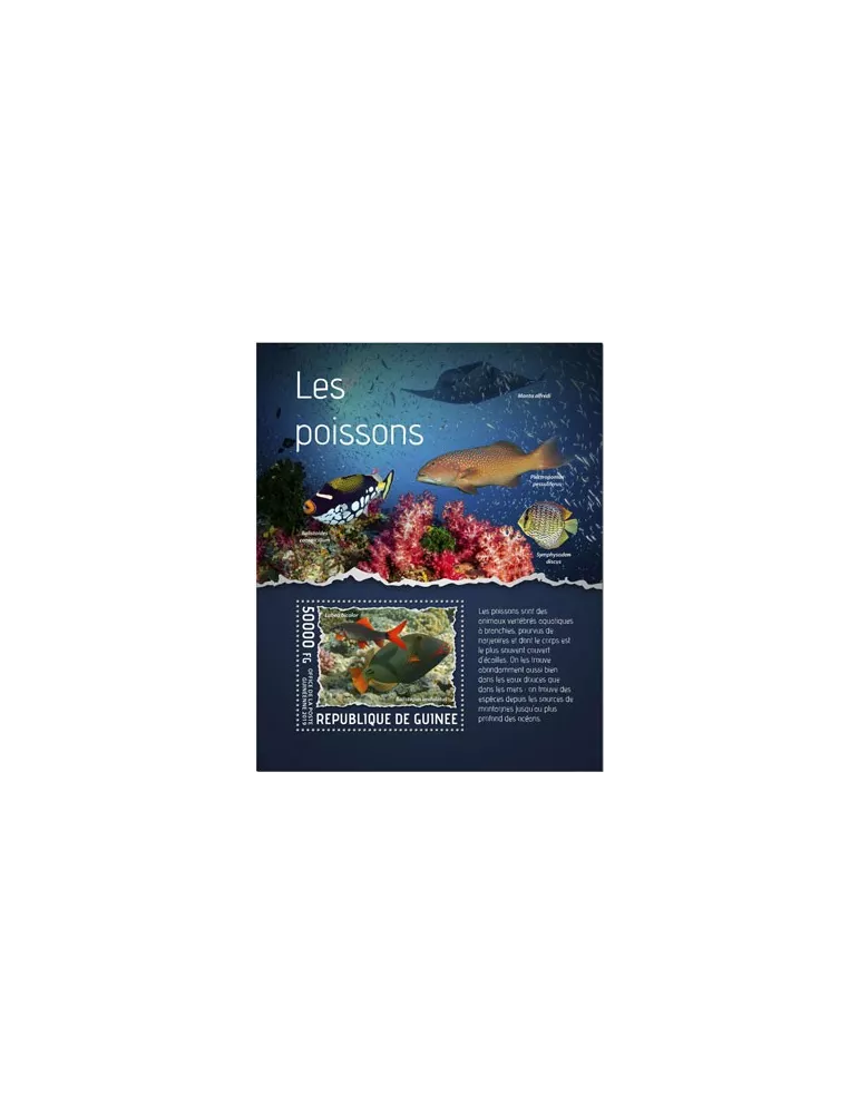 n° 2410 - Timbre GUINEE Blocs et feuillets