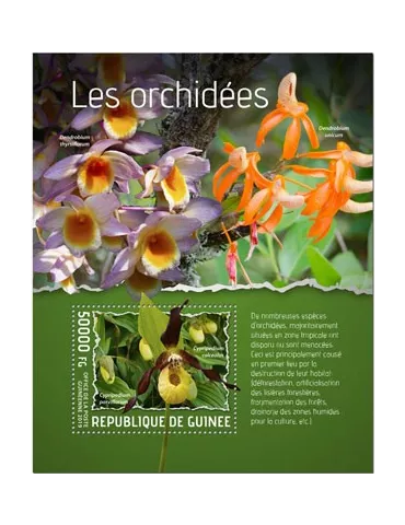 n° 2423 - Timbre GUINEE Blocs et feuillets