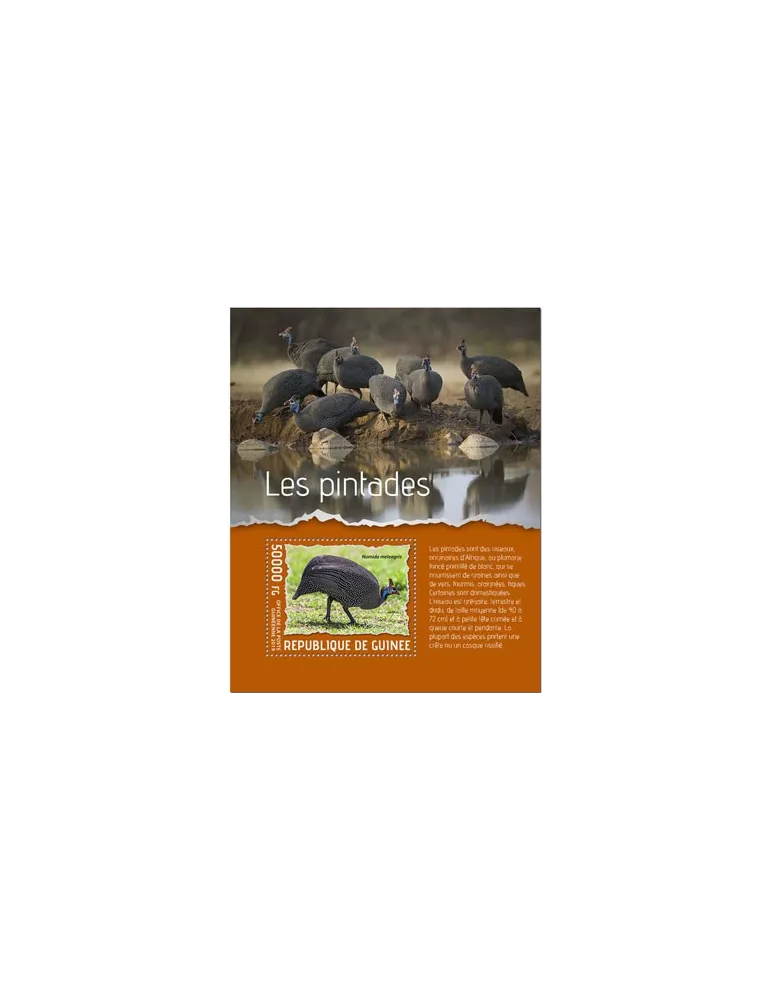 n° 2431 - Timbre GUINEE Blocs et feuillets