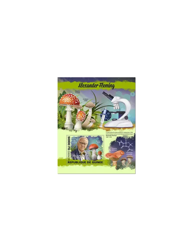 n° 2438 - Timbre GUINEE Blocs et feuillets