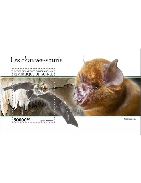 n° 2469 - Timbre GUINEE Blocs et feuillets