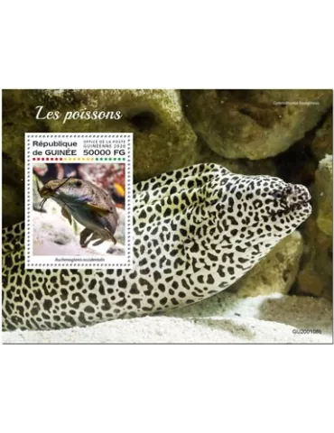 n° 2501 - Timbre GUINEE Blocs et feuillets