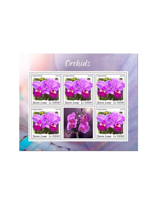 n° F9656/F9658 - Timbre SIERRA LEONE Poste