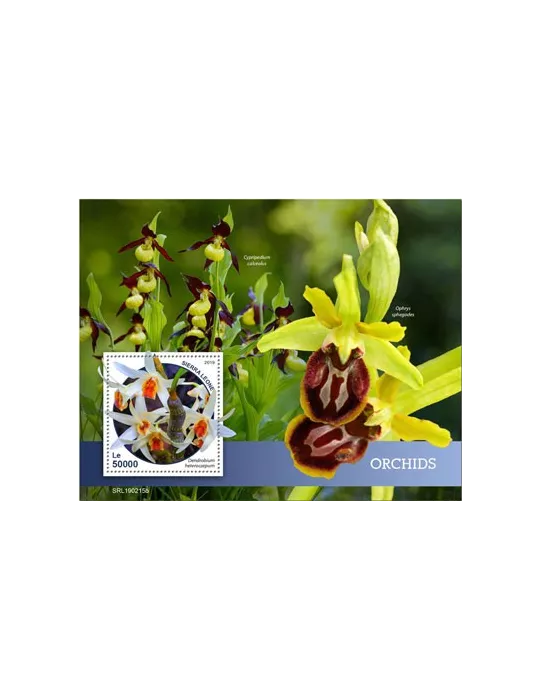 n° 1642 - Timbre SIERRA LEONE Blocs et feuillets