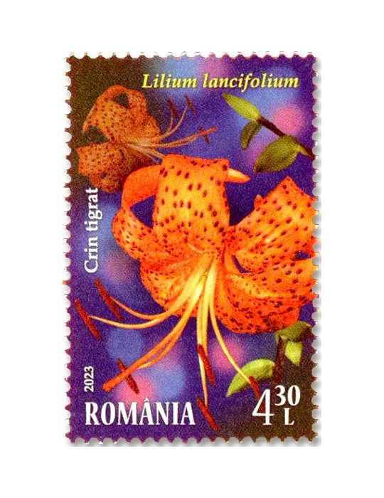 n° 7009/7012 - Timbre ROUMANIE Poste