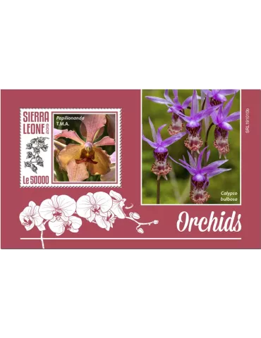 n° 1823 - Timbre SIERRA LEONE Blocs et feuillets