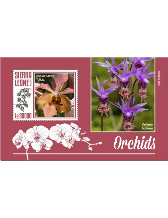 n° 1823 - Timbre SIERRA LEONE Blocs et feuillets